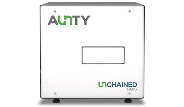 dominate-protein-stability-with-aunty